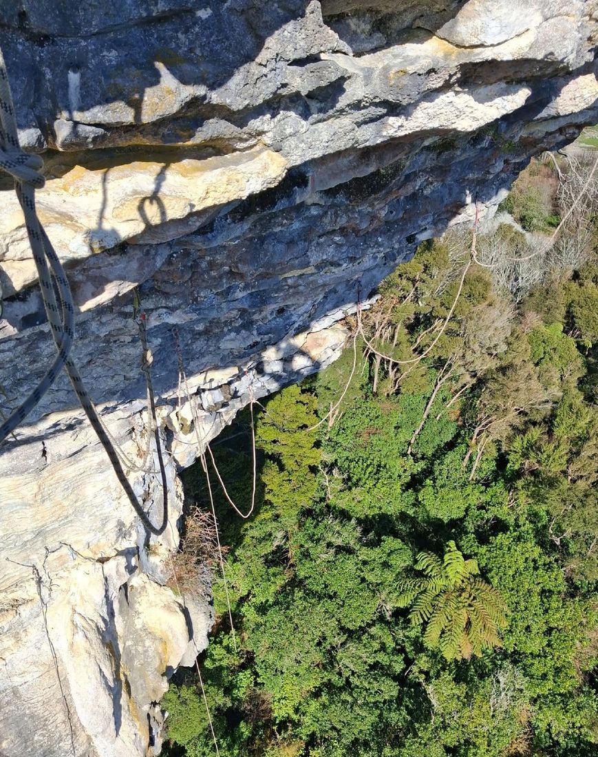 Looking down a limestone wall with ropes hanging over native bush and tree ferns